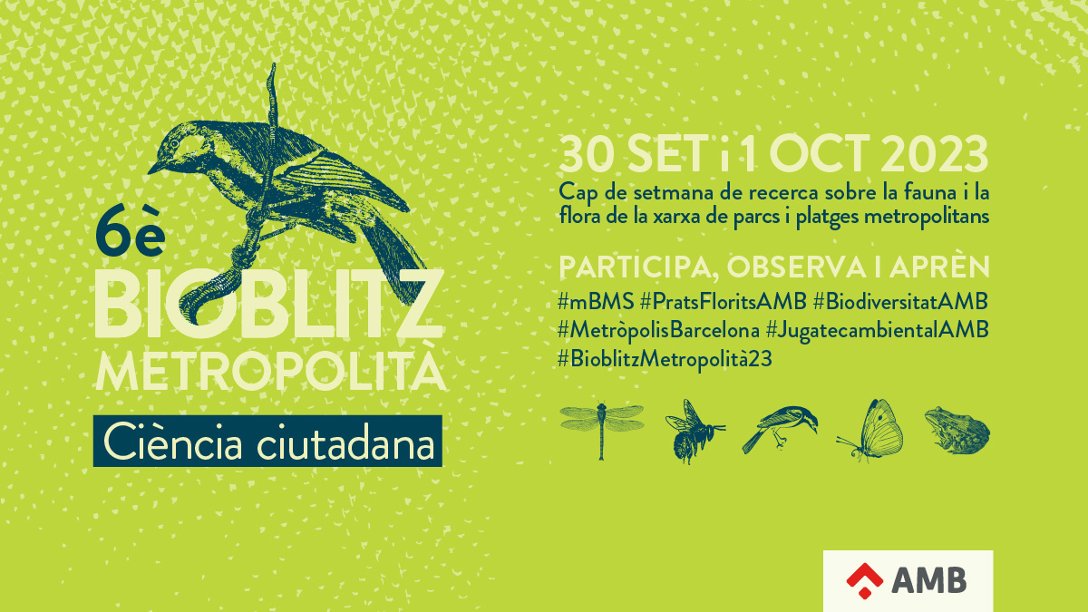6e_Bioblitz_2023_FB-TW.jpg