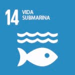 Vida submarina