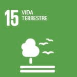 Vida d'ecosistemes terrestres