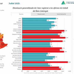 Imatge informe mensual atur registrat