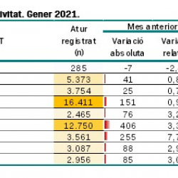 Imatge informe mensual atur registrat