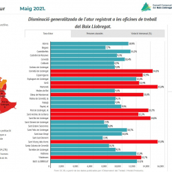 Imatge informe mensual atur registrat