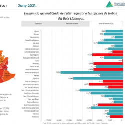 Imatge informe mensual atur registrat