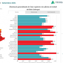 Imatge informe mensual atur registrat