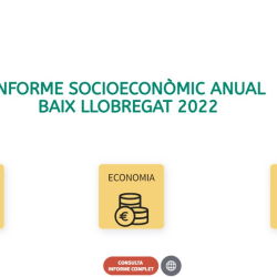 Informe anual socioeconòmic