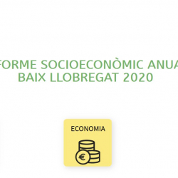 Informe anual socioeconòmic