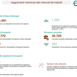 Imatge infografia