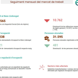Imatge web