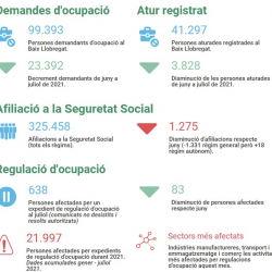 Imatge informe covid 19