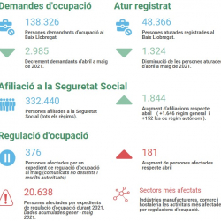 Imatge informe covid 19