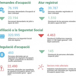 Imatge informe covid 19