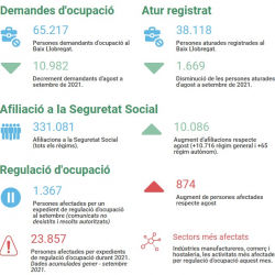 Imatge informe covid 19