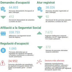 Imatge informe covid 19