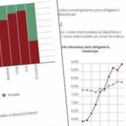 Imatge infografia escolarització i èxit escolar