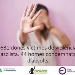 Informe trimestral violència