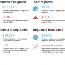 Imatge informe covid 19