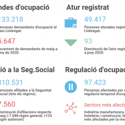 Imatge informe covid 19