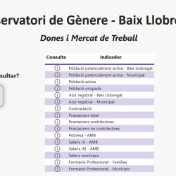 Visualització dades Baix Llobregat