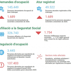 Imatge informe covid 19