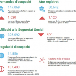 Imatge informe covid 19