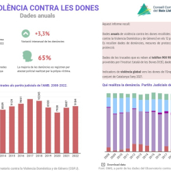 Informe anual violència contra les dones.