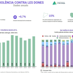 Nota anual violència