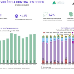 Nota anual violència