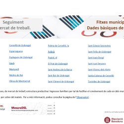 Fitxes Municipals