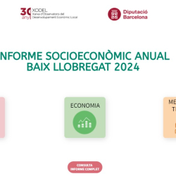 Informe anual socioeconòmic