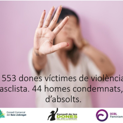 Informe trimestral violència