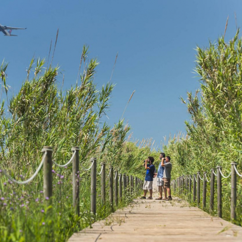 Passejant per les Muntanyes del Baix