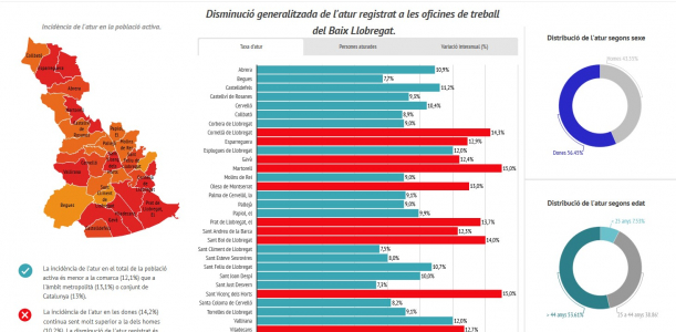 Imatge informe mensual atur registrat