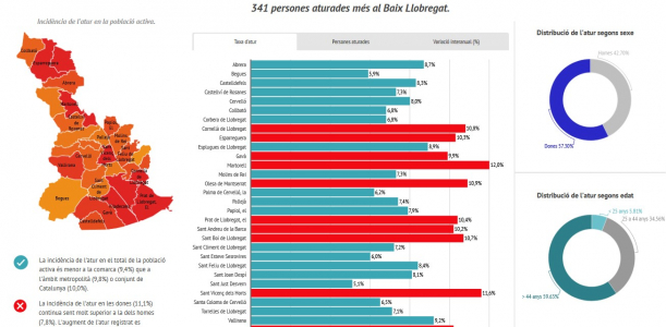 Imatge informe mensual atur registrat