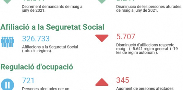 Imatge informe covid 19