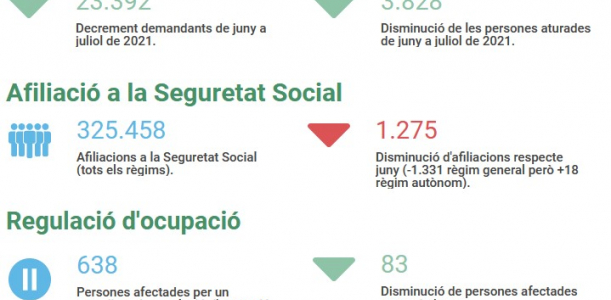 Imatge informe covid 19