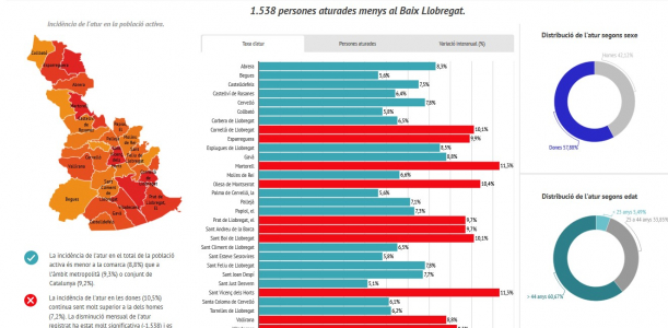 Imatge informe mensual atur registrat