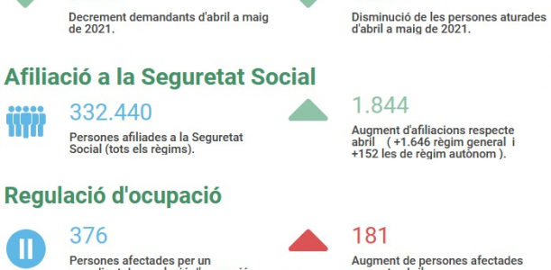 Imatge informe covid 19