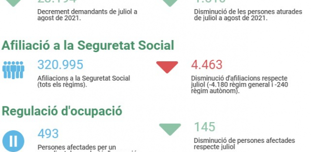 Imatge informe covid 19