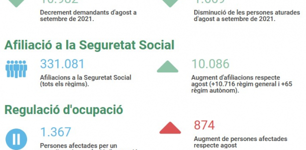 Imatge informe covid 19