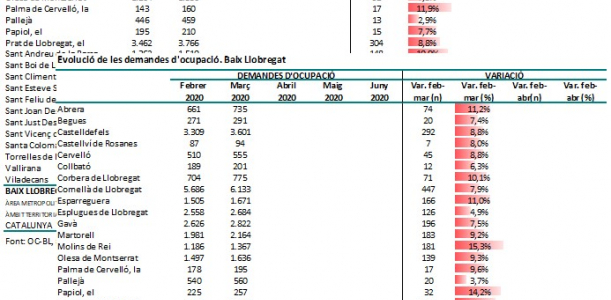 Imatge informe covid 19