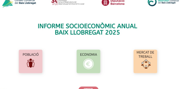 Informe anual socioeconòmic Informe anual socioeconòmic
