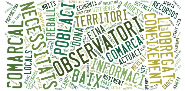 Word cloud Observatori Comarcal Baix Llobregat