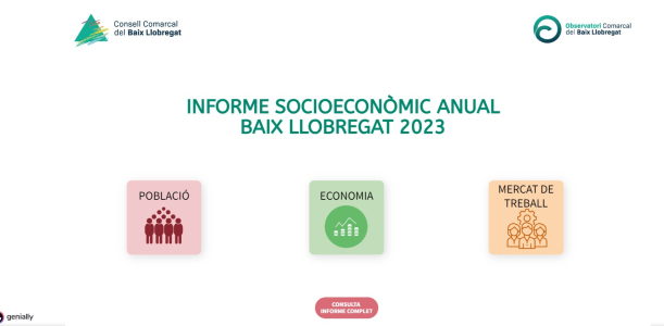 Informe anual socioeconòmic