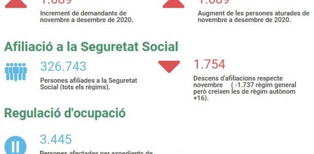 Imatge informe covid 19