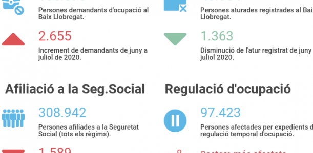 Imatge informe covid 19