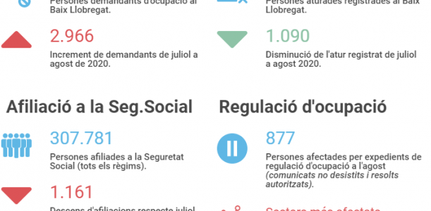 Imatge informe covid 19