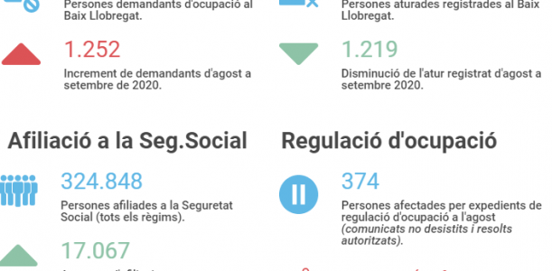 Imatge informe covid 19