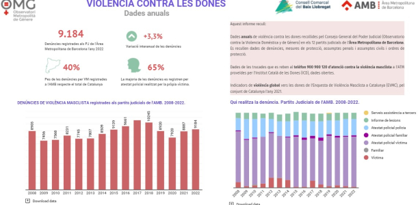 Informe anual violència contra les dones.