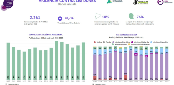 Nota anual violència