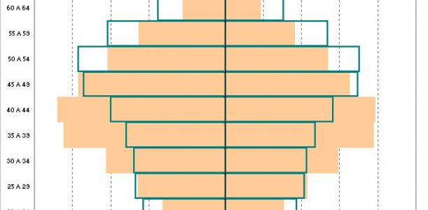 Piràmide projeccions població activa